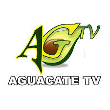 Aguacate TV en VIVO online Canal Aguacate Venezuela